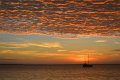 05Darwin (184)